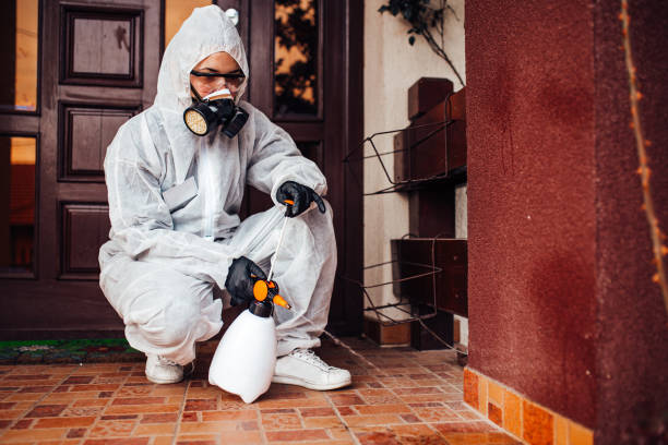 Reliable Wasp Removal contractor in Fort Montgomery, NY by Show Me Pest Control